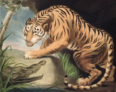 Tiger and Crocodile, engraved by Charles Turner, pub. by James Daniell and Co. by James Northcote